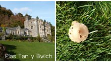 Plas Tan y Bwlch