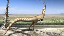 Sinosauropteryx, the little bandit-masked dinosaur