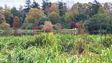 Mount Stewart Autumn