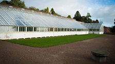 Restored Glasshouses