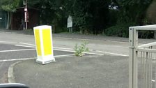 Simon Scott's Tomato Plant in Concrete