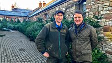 Irish Christmas Tree Growers (ICTG)