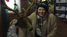 After meeting the reindeer at Melsop Park Farm, Sophie found clue five at Toll's Meadow in Wymondham