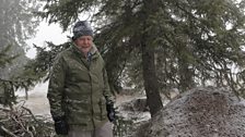 David Attenborough is caught in a snowstorm filming one of the wood ant nests.