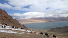 Landscape of Western Mongolia, Khovd province