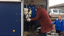 The Humberstone Farm Equestrian Centre in Great Yarmouth was the location of clue two