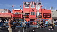 Muscle Beach