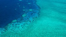 Great Barrier Reef from the air