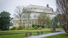 Great Palm House