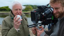 David Attenborough on location