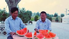 Enjoying watermelon where once there was desert