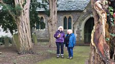 The Ancient Yew Tour