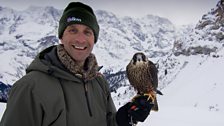 Lloyd Buck and Rudi the peregrine