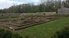 Restoring an historic walled garden