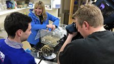 Ruth spends a day with Andrew, a senior vet at the USPCA