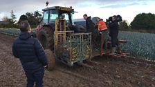 It's a barrel of laughs on this leek farm!