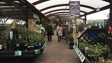 The old railway line garden centre