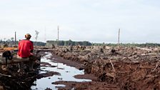 Borneo’s lost forests