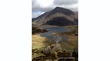 Llun or griafolen yng nghefn Cwm Idwal