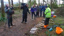 The importance of hedgerows