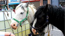 It wouldn't be the May Fair without horses