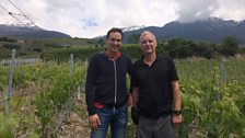 New southern grape varieties in the Alps