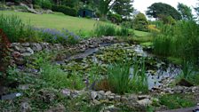 Nicholaston House Quiet Garden in Gower