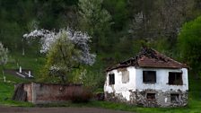 Srebrenica Reports