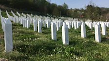 Srebrenica Reports