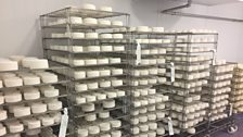 Racks of Ballylisk cheese in the ripening room