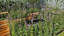 This silver medal winning garden is designed to provide a space for young people to talk, reflect and study for exams