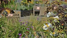 This sensory garden offers: texture, sound, movement and fragrant plants at all heights which are accessible to all.