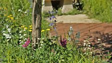 The wildflowers and shrubs represent the sort of vegetation that grows along riverbanks