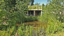 This garden represents one of the many ‘pingos’ or shallow fluctuating pools found in Breckland, Norfolk