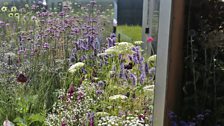 A meadow scene is enclosed within a rusted steel box which has mirrored interior walls