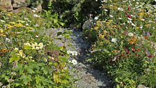 The planting wraps around the seating and water feature  and pathways to create sinuous curving shapes.