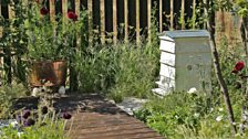 The garden includes grasses and theatrical flowers, a long water feature, a timber deck and tiled area