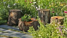 Fruit trees, log piles, shelter for wildlife, shaggy lawns and informal planting are the key elements of this garden