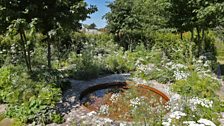 This silver medal winning garden features a continuous path which encourages the visitor to get lost in walking