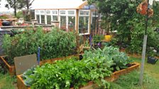 Greenhouse from recycled glass