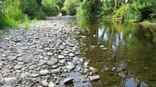 Sychder Mawr 2018 - Yr Afon Elwy, yn Llanelwy - Tudur Aled Davies.