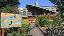 Ninewells Community Garden, Dundee