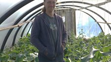 Alan Robertson photographed inside one of the poly tunnels at Transition Turriefield.