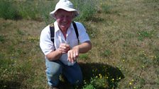 Farmer among the fields!