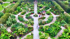 RHS Wisley exotic garden