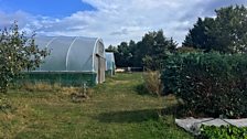 Cullerne Garden polytunnels