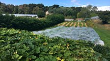 Cullerne Market Garden