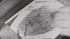 Slough 80: Fingerprint