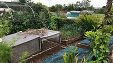 Eden Allotments