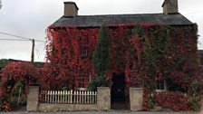 Autumn in Llanfarian